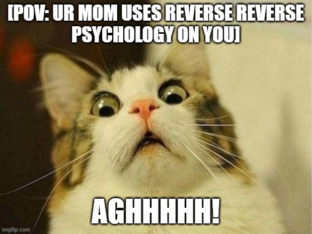 POV #1 | [POV: UR MOM USES REVERSE REVERSE
PSYCHOLOGY ON YOU]; AGHHHHH! | image tagged in memes,scared cat | made w/ Imgflip meme maker