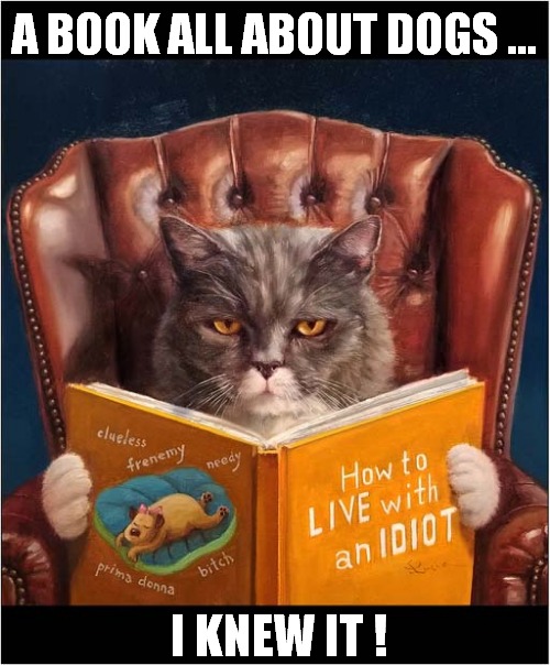 Essential Reading ! | A BOOK ALL ABOUT DOGS ... I KNEW IT ! | image tagged in cats,reading,dogs | made w/ Imgflip meme maker