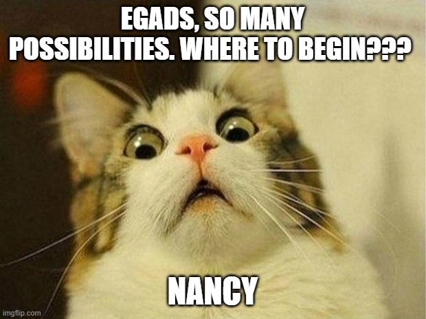 Scared Cat Meme | EGADS, SO MANY POSSIBILITIES. WHERE TO BEGIN??? NANCY | image tagged in memes,scared cat | made w/ Imgflip meme maker