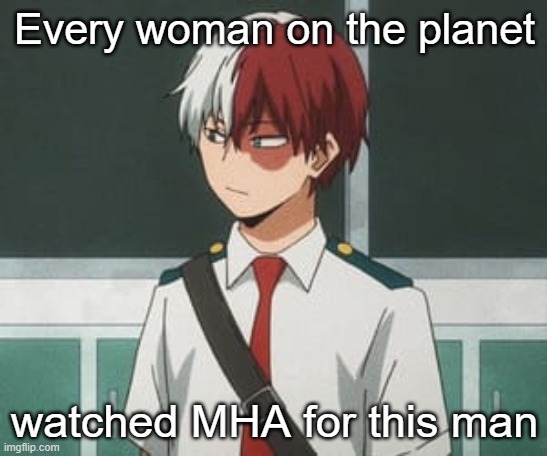 MHA is cringe just like todoroki | Every woman on the planet; watched MHA for this man | image tagged in shoto todoroki | made w/ Imgflip meme maker