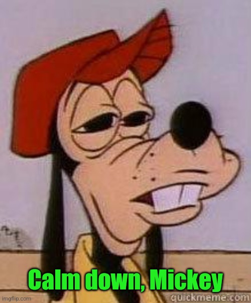Stoned goofy | Calm down, Mickey | image tagged in stoned goofy | made w/ Imgflip meme maker