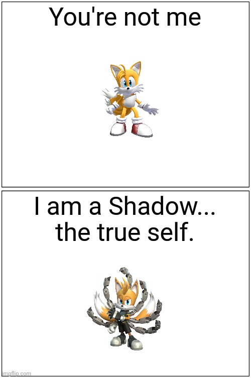 Blank Comic Panel 1x2 | You're not me; I am a Shadow... the true self. | image tagged in memes,blank comic panel 1x2,persona 4 | made w/ Imgflip meme maker