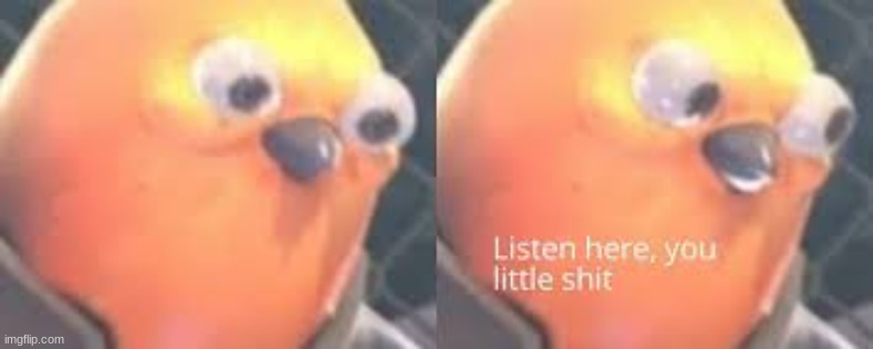 Listen here you little shit | image tagged in listen here you little shit | made w/ Imgflip meme maker