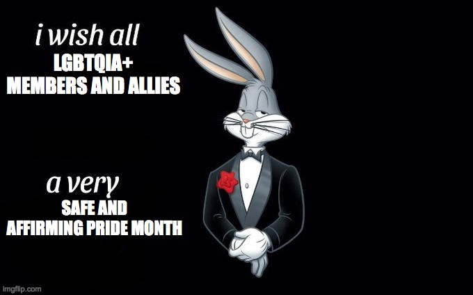 I wish all x a very y | LGBTQIA+ MEMBERS AND ALLIES; SAFE AND AFFIRMING PRIDE MONTH | image tagged in i wish all x a very y | made w/ Imgflip meme maker