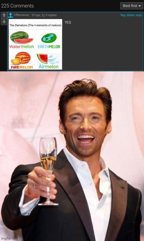 Elemelons | image tagged in hugh jackman cheers,comment,comment section,memes,top comments,top comment | made w/ Imgflip meme maker