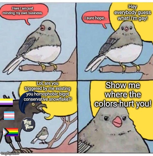 LGBTQ+ narcissists in a nutshell | Hey everybody guess what! I'm gay! Here I am just minding my own business. I sure hope... Lol, are you triggered by me existing you homophobic bigot conservative snowflake?! Show me where the colors hurt you! | image tagged in annoyed bird,lgbtq,stupid liberals,narcissism,gay pride | made w/ Imgflip meme maker