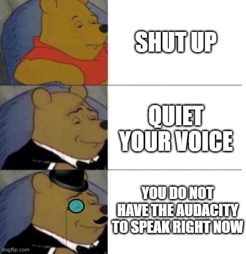 Tuxedo Winnie the Pooh (3 panel) | SHUT UP; QUIET YOUR VOICE; YOU DO NOT HAVE THE AUDACITY TO SPEAK RIGHT NOW | image tagged in tuxedo winnie the pooh 3 panel,shut up | made w/ Imgflip meme maker