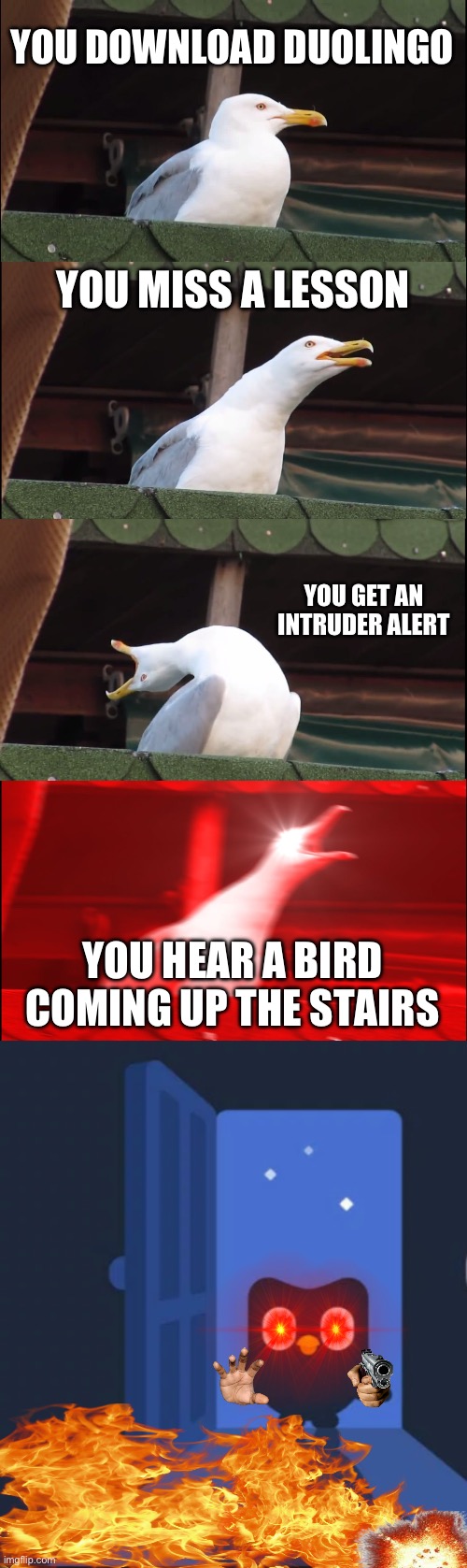*Knock Knock* SQUAK | YOU DOWNLOAD DUOLINGO; YOU MISS A LESSON; YOU GET AN INTRUDER ALERT; YOU HEAR A BIRD COMING UP THE STAIRS | image tagged in memes,inhaling seagull,duolingo bird | made w/ Imgflip meme maker