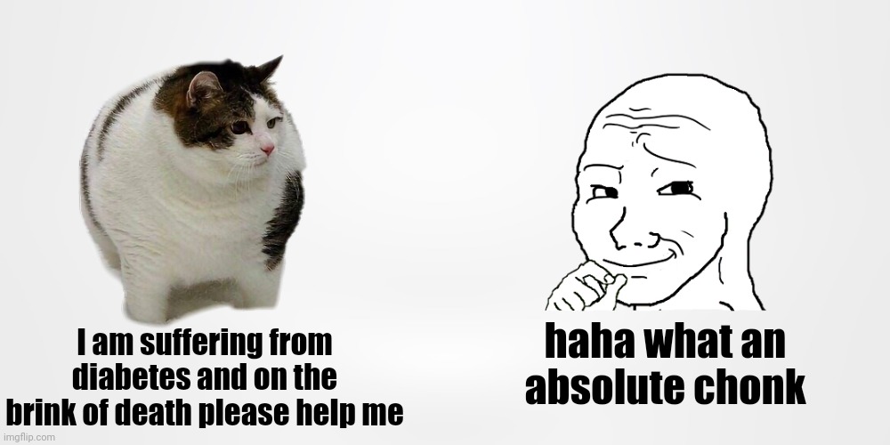 take care of ur cats! | haha what an absolute chonk; I am suffering from diabetes and on the brink of death please help me | image tagged in fun | made w/ Imgflip meme maker