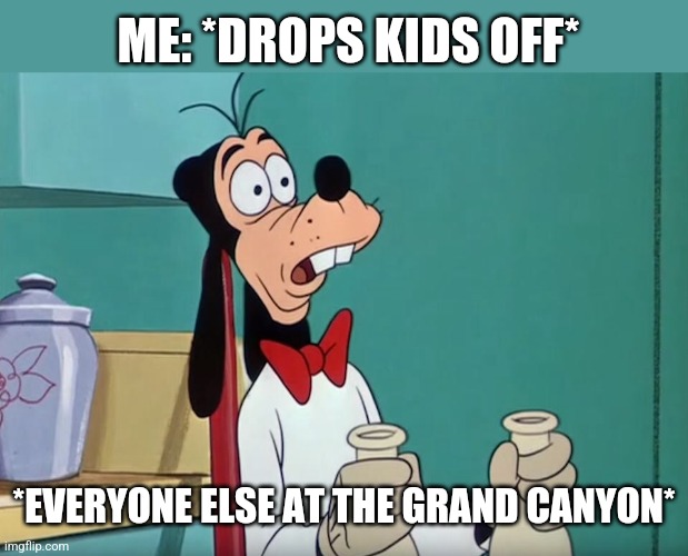 Shocked Goofy | ME: *DROPS KIDS OFF*; *EVERYONE ELSE AT THE GRAND CANYON* | image tagged in shocked goofy | made w/ Imgflip meme maker