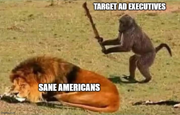 Guess how this is gonna turn out? | TARGET AD EXECUTIVES; SANE AMERICANS | image tagged in democrats,liberals,woke,leftists,target,lgbtq | made w/ Imgflip meme maker
