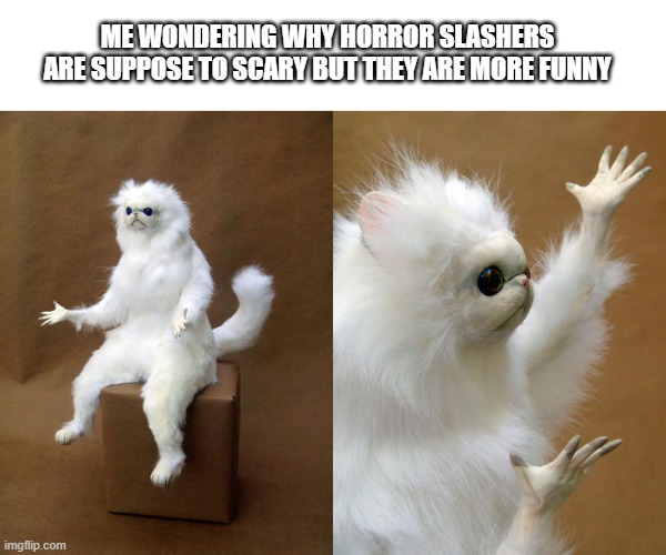 Persian Cat Room Guardian | ME WONDERING WHY HORROR SLASHERS ARE SUPPOSE TO SCARY BUT THEY ARE MORE FUNNY | image tagged in memes,persian cat room guardian | made w/ Imgflip meme maker
