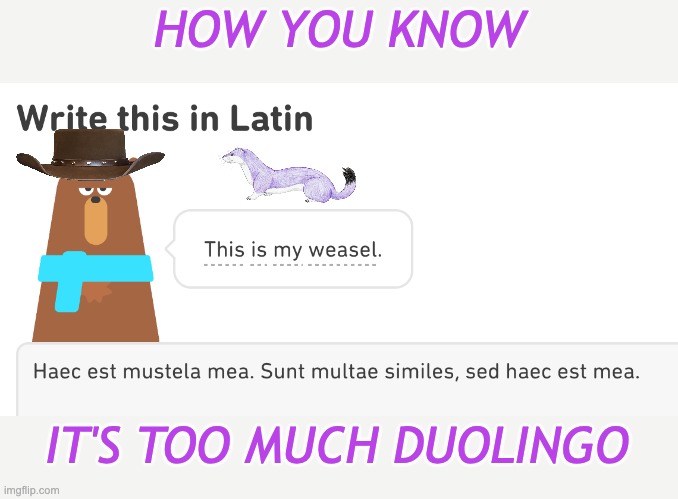 duolingo: night of the weasels | HOW YOU KNOW; IT'S TOO MUCH DUOLINGO | image tagged in stanley kubrick,weasel,duolingo,language,reference | made w/ Imgflip meme maker