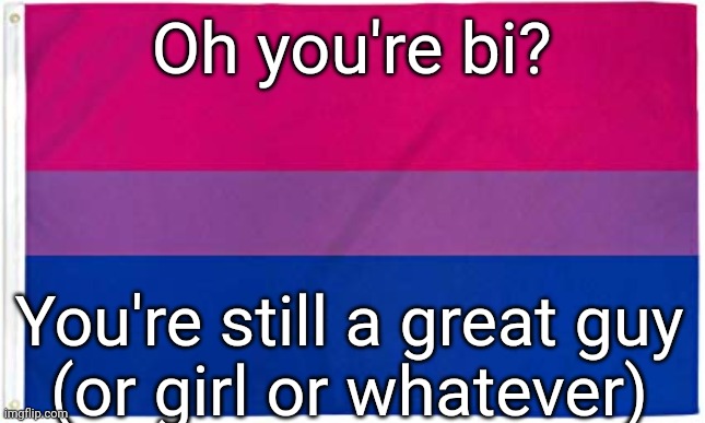 Dumb pride slogans pt3 | Oh you're bi? You're still a great guy
(or girl or whatever) | image tagged in bisexual flag | made w/ Imgflip meme maker