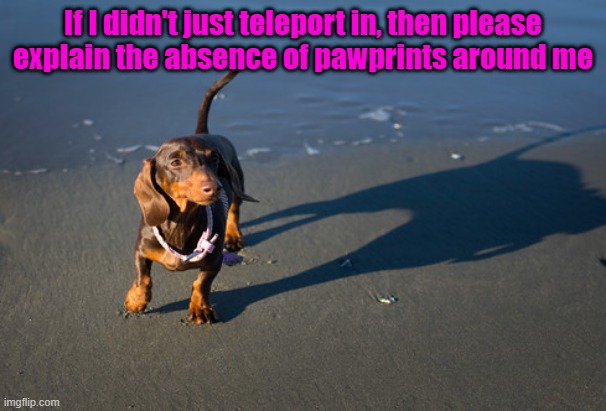 Good question | If I didn't just teleport in, then please explain the absence of pawprints around me | image tagged in dogs,funny memes,sci-fi | made w/ Imgflip meme maker