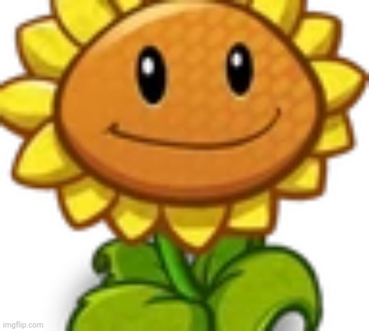 PvZ heroes sunflower | image tagged in pvz heroes sunflower | made w/ Imgflip meme maker