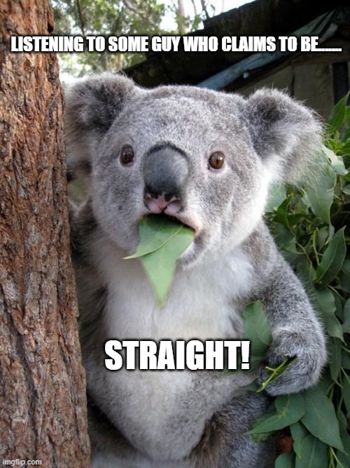 Surprised Koala Meme | LISTENING TO SOME GUY WHO CLAIMS TO BE....... STRAIGHT! | image tagged in memes,surprised koala | made w/ Imgflip meme maker