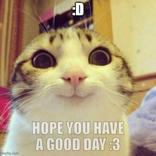 Smiling Cat | :D; HOPE YOU HAVE A GOOD DAY :3 | image tagged in memes,smiling cat,happy star congratulations,happy cat,happy,d | made w/ Imgflip meme maker