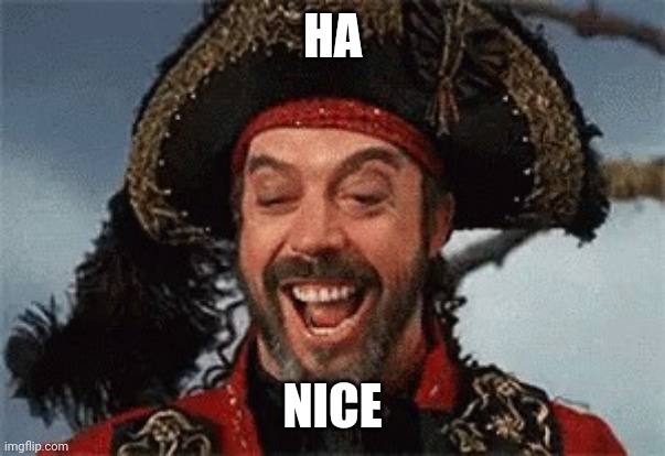 TIM CURRY PIRATE | HA NICE | image tagged in tim curry pirate | made w/ Imgflip meme maker