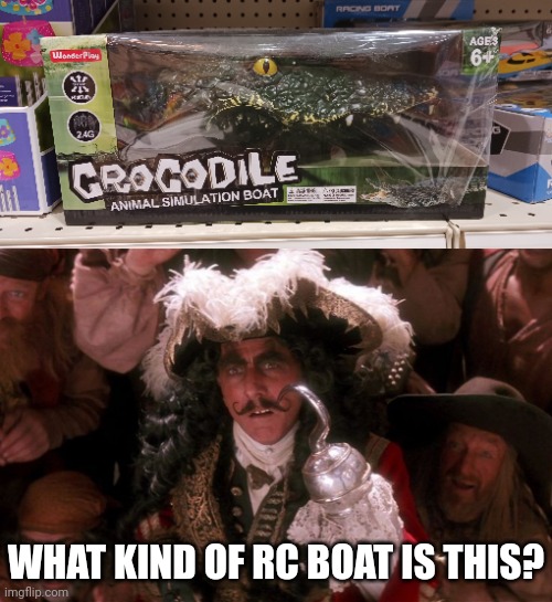 HOOK IS GONNA SMASH IT | WHAT KIND OF RC BOAT IS THIS? | image tagged in hook,pirates,rc boat,crocodile | made w/ Imgflip meme maker