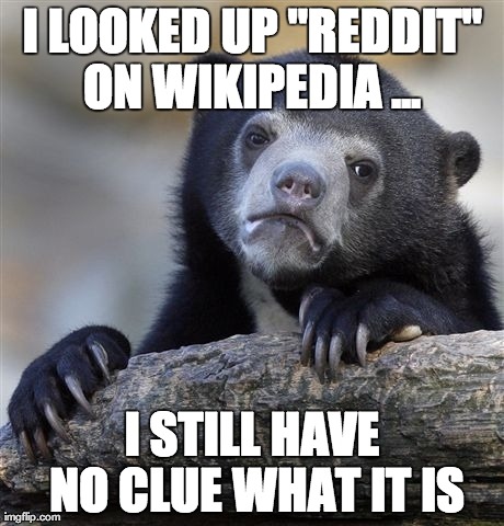 Confession Bear Meme | I LOOKED UP "REDDIT" ON WIKIPEDIA ...  I STILL HAVE NO CLUE WHAT IT IS | image tagged in memes,confession bear | made w/ Imgflip meme maker
