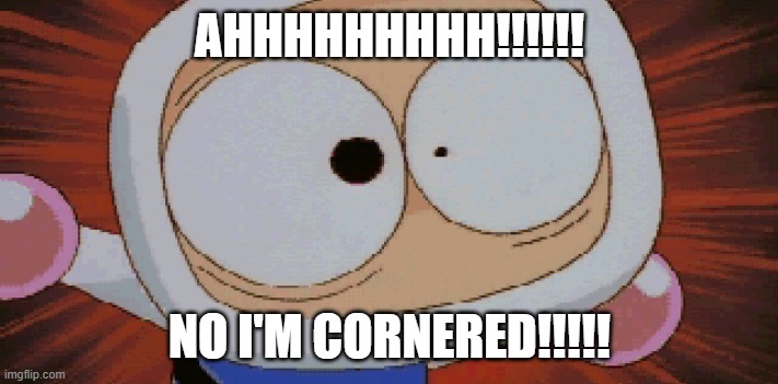 White Bomber Scared | AHHHHHHHHH!!!!!! NO I'M CORNERED!!!!! | image tagged in white bomber scared | made w/ Imgflip meme maker