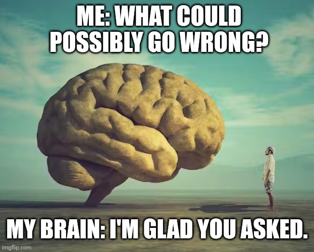 What could possibly go wrong? | ME: WHAT COULD POSSIBLY GO WRONG? MY BRAIN: I'M GLAD YOU ASKED. | image tagged in what can go wrong,scumbag brain,waking up brain,brain,anxiety,stress | made w/ Imgflip meme maker