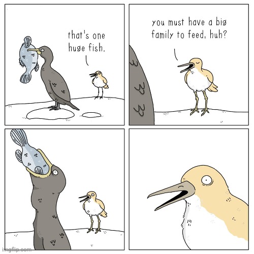 Eating fish food | image tagged in birds,bird,fish,food,comics,comics/cartoons | made w/ Imgflip meme maker