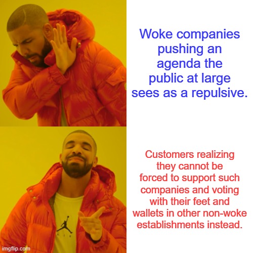 Drake Hotline Bling | Woke companies pushing an agenda the public at large sees as a repulsive. Customers realizing they cannot be forced to support such companies and voting with their feet and wallets in other non-woke establishments instead. | image tagged in memes,drake hotline bling | made w/ Imgflip meme maker