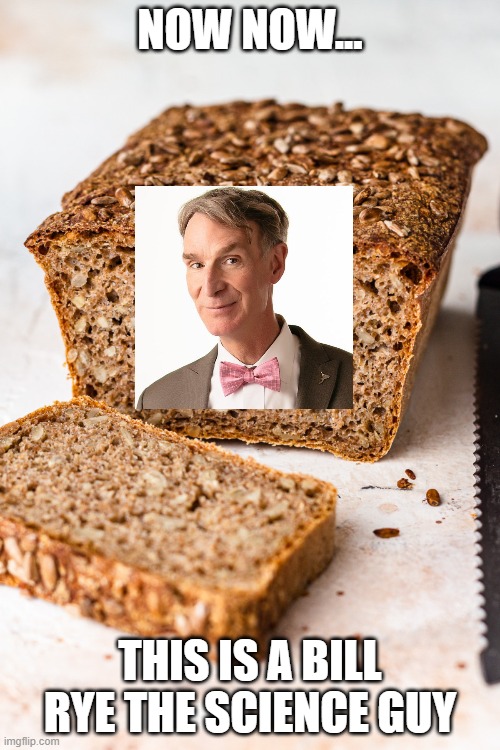 Bill Rye The Science Guy | NOW NOW... THIS IS A BILL RYE THE SCIENCE GUY | image tagged in bread | made w/ Imgflip meme maker