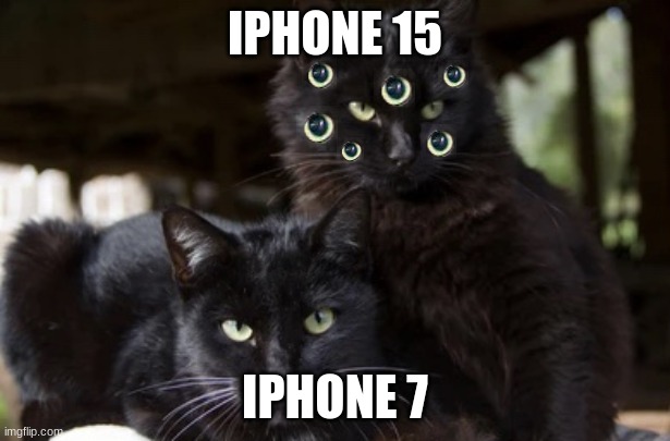 ? | IPHONE 15; IPHONE 7 | image tagged in two cats | made w/ Imgflip meme maker