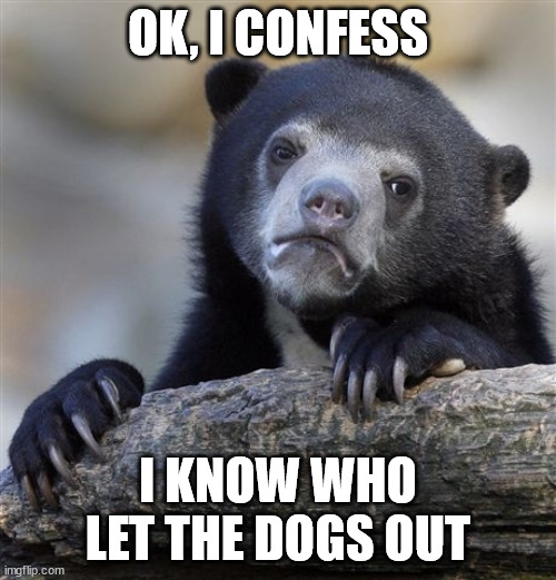 2014 meme | OK, I CONFESS; I KNOW WHO LET THE DOGS OUT | image tagged in memes,confession bear | made w/ Imgflip meme maker