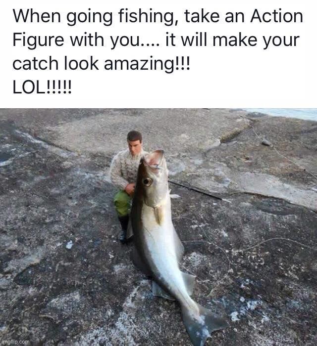 Follow the stream! | image tagged in memes,funny,fishing | made w/ Imgflip meme maker