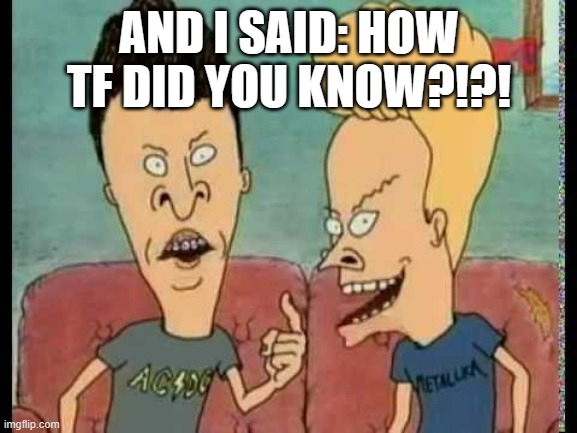 (Litro note: Whar) | AND I SAID: HOW TF DID YOU KNOW?!?! | image tagged in beavis butt-head he said | made w/ Imgflip meme maker