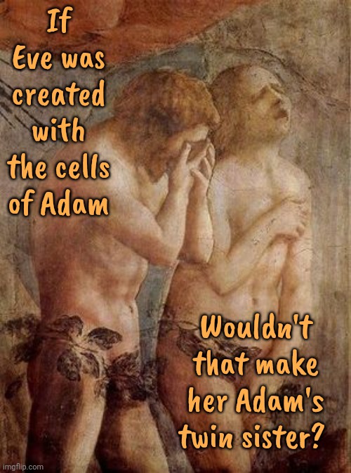 That Would Explain A Lot.  Maybe She Was A Clone | If Eve was created with the cells of Adam; Wouldn't that make her Adam's twin sister? | image tagged in adam and eve frustrated,bible stories,the bible,wait what,ewwww,memes | made w/ Imgflip meme maker