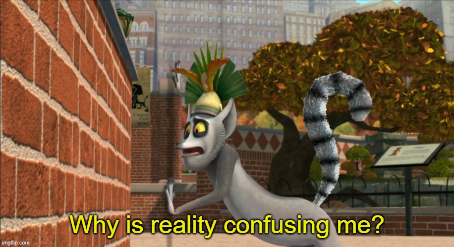 Confusing reality | Why is reality confusing me? | image tagged in penguins of madagascar,confused | made w/ Imgflip meme maker
