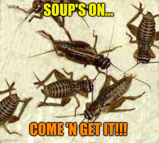 Crickets | SOUP'S ON... COME 'N GET IT!!! | image tagged in crickets | made w/ Imgflip meme maker