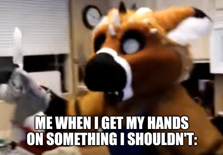 Furry with a knife | ME WHEN I GET MY HANDS ON SOMETHING I SHOULDN'T: | image tagged in furry with a knife | made w/ Imgflip meme maker