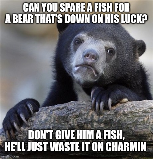 Confession Bear Meme | CAN YOU SPARE A FISH FOR A BEAR THAT'S DOWN ON HIS LUCK? DON'T GIVE HIM A FISH, HE'LL JUST WASTE IT ON CHARMIN | image tagged in memes,confession bear | made w/ Imgflip meme maker