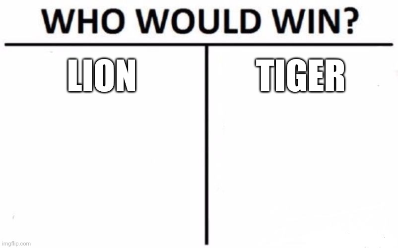 Who Would Win? Meme | LION; TIGER | image tagged in memes,who would win | made w/ Imgflip meme maker