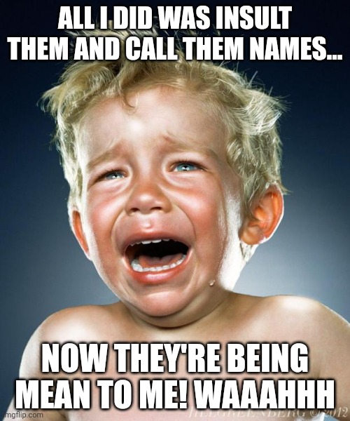 Cry baby | ALL I DID WAS INSULT THEM AND CALL THEM NAMES... NOW THEY'RE BEING MEAN TO ME! WAAAHHH | image tagged in crying child,cry baby | made w/ Imgflip meme maker