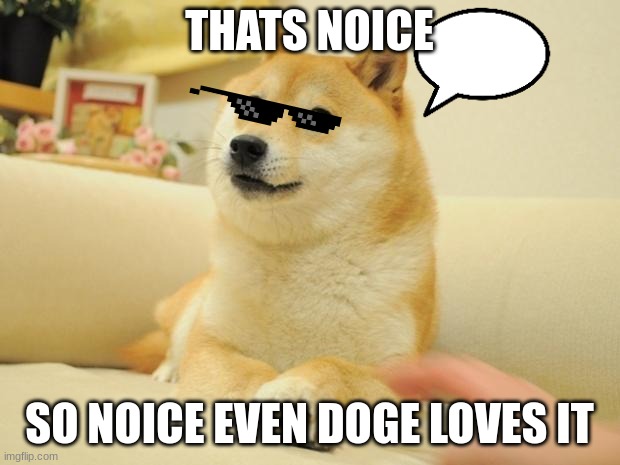 Doge 2 | THATS NOICE; SO NOICE EVEN DOGE LOVES IT | image tagged in memes,doge 2 | made w/ Imgflip meme maker