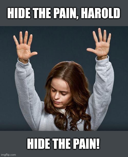 Praise the lord | HIDE THE PAIN, HAROLD HIDE THE PAIN! | image tagged in praise the lord | made w/ Imgflip meme maker