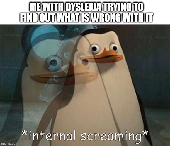 Private Internal Screaming | ME WITH DYSLEXIA TRYING TO FIND OUT WHAT IS WRONG WITH IT | image tagged in private internal screaming | made w/ Imgflip meme maker
