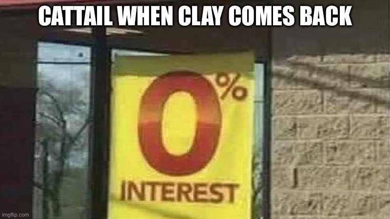 She doesn’t even notice him | CATTAIL WHEN CLAY COMES BACK | image tagged in 0 interest,wings of fire,cats,tails | made w/ Imgflip meme maker