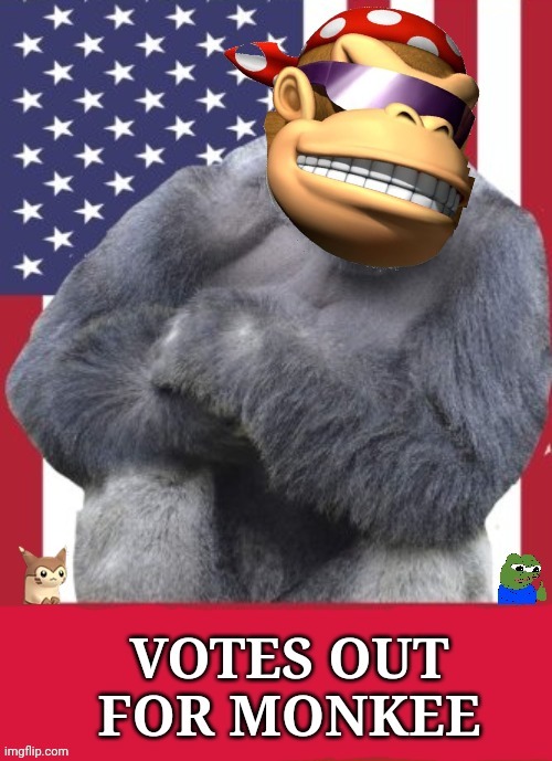 Votes out for monkee | image tagged in votes out for monkee | made w/ Imgflip meme maker