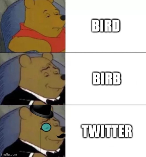 birb | BIRD; BIRB; TWITTER | image tagged in fancy pooh,memes | made w/ Imgflip meme maker