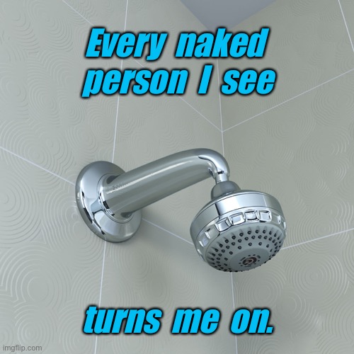 You turn me on | Every  naked  person  I  see; turns  me  on. | image tagged in shower head,every naked person,turns me on | made w/ Imgflip meme maker