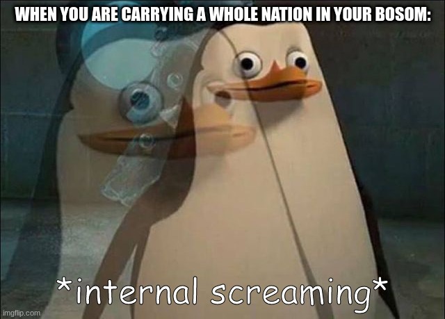 Ok, My Mom at least understood this... Because of me........ | WHEN YOU ARE CARRYING A WHOLE NATION IN YOUR BOSOM: | image tagged in private internal screaming | made w/ Imgflip meme maker