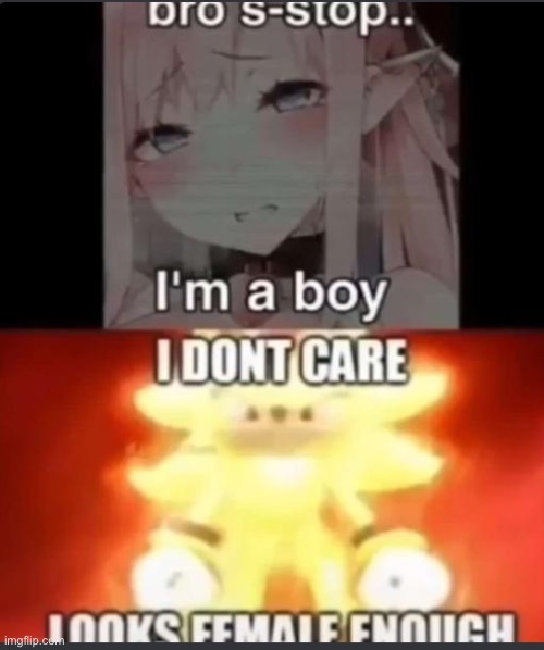 Looks feminine enough >:) | image tagged in stop reading the tags,you have been eternally cursed for reading the tags | made w/ Imgflip meme maker